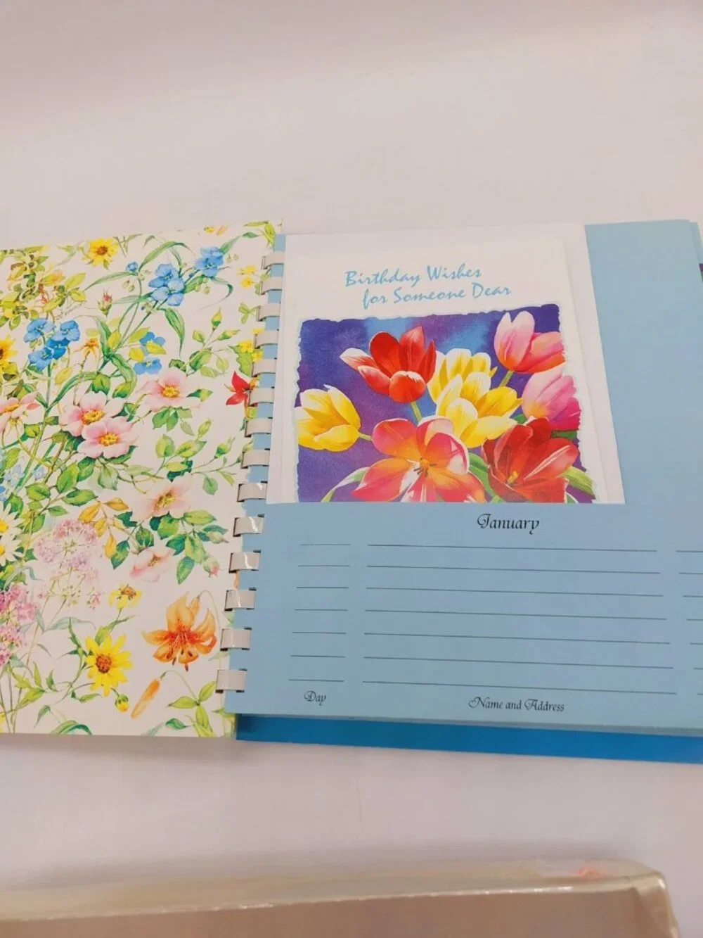 Red Farm Studio Album Note Cards Envelopes Spiral Bound Card Holder